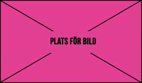 Platshållare bild Rosa