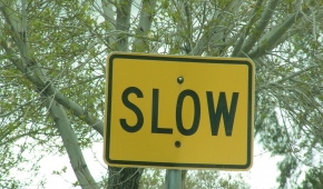 Vägskylt med texten "Slow"